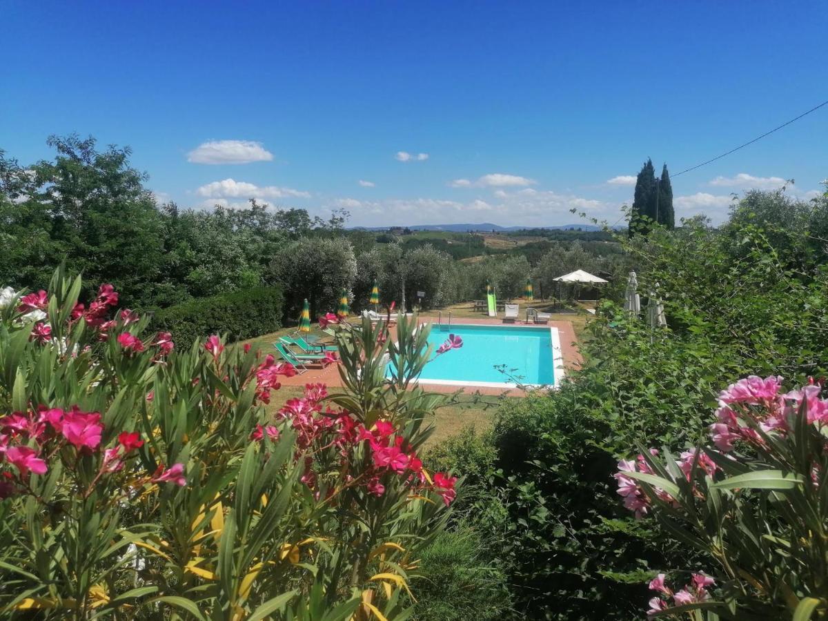 Agriturismo Terre Di Toscana Terricciola Luaran gambar