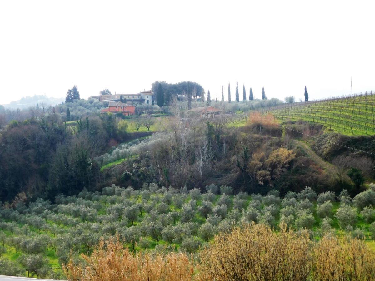 Agriturismo Terre Di Toscana Terricciola Luaran gambar